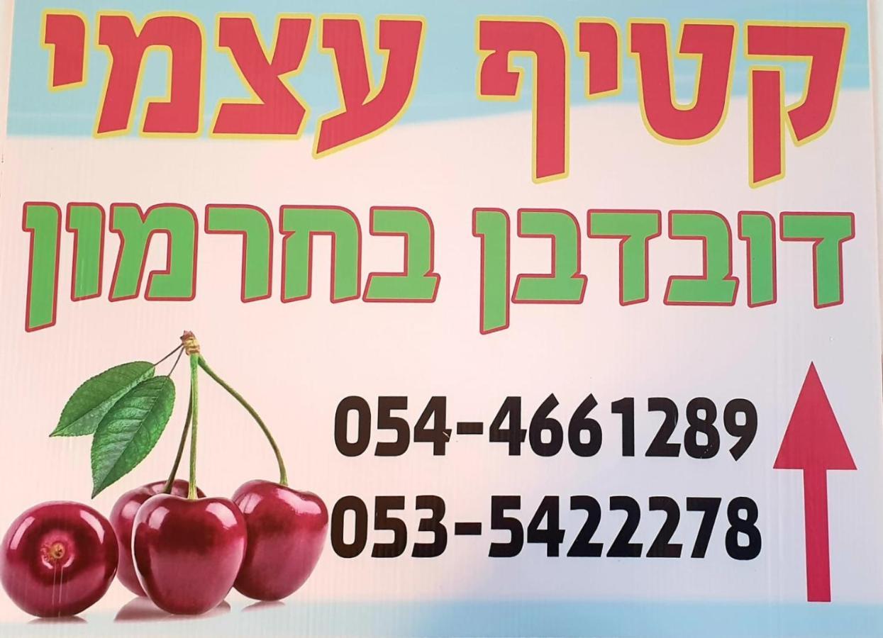 צימרים בגולן דובדבן בחרמון Mas'ada 외부 사진